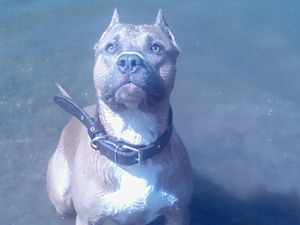 Светлана Дроздова