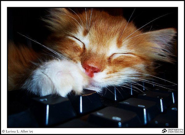 Татьяна Баклан