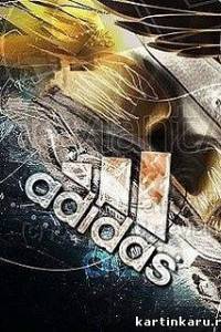 Александр Власов