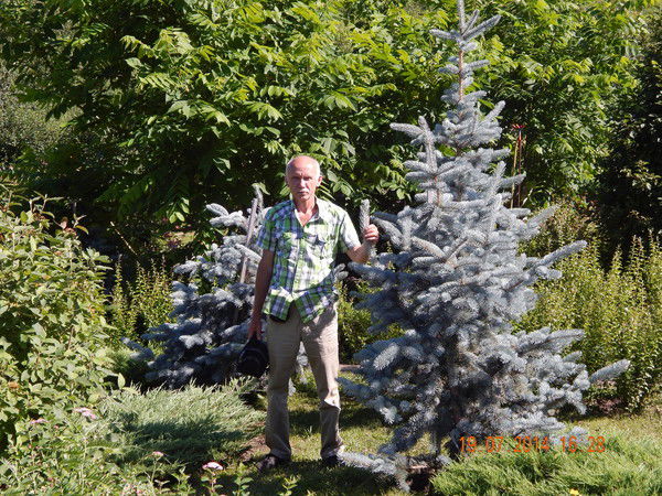 Николай Волченко