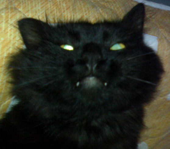 Владимир Ермолин