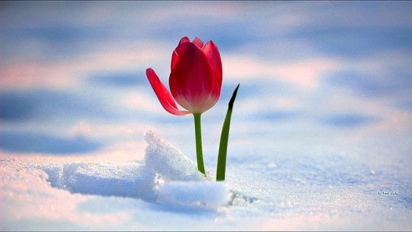 * Екатерина