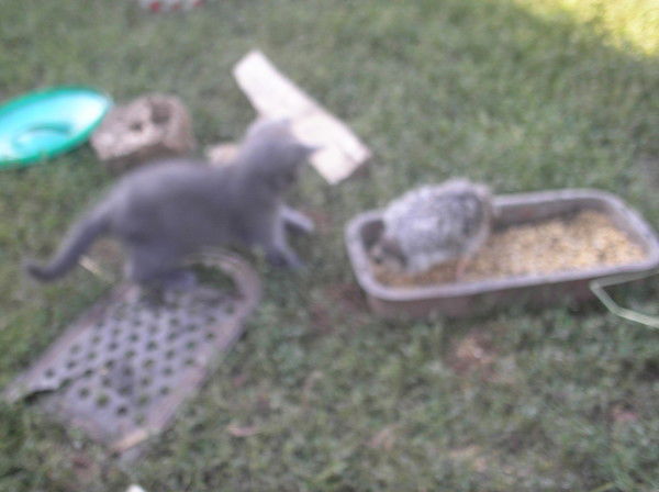 Данил Синянский