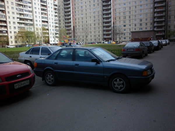 Дмитрий Каскевич