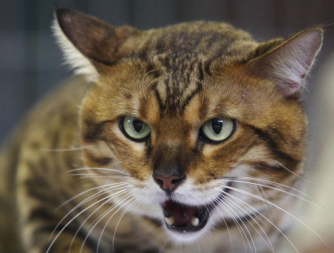 Александр ******