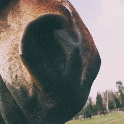 Александра Рублева