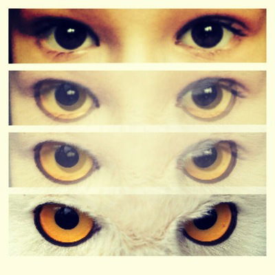 Анна Булава