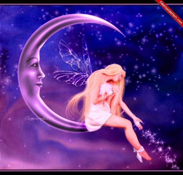 Софья Вологдина