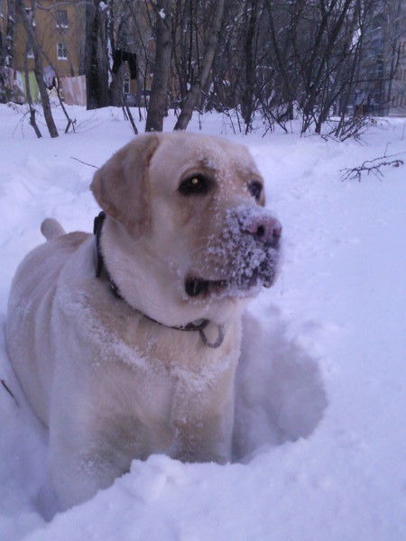 Комсомол Горсббж Sbbzh_Gorod