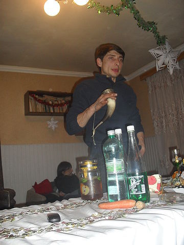 Ilia Partikanashvili