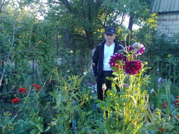 Дмитрий Турцевич