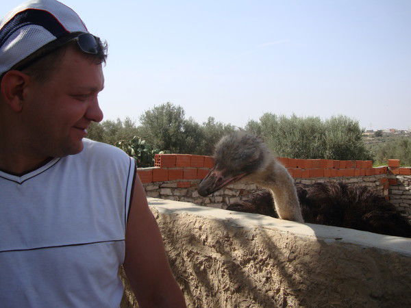 Андрей Андрей