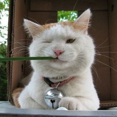 Дмитрий Фоменков