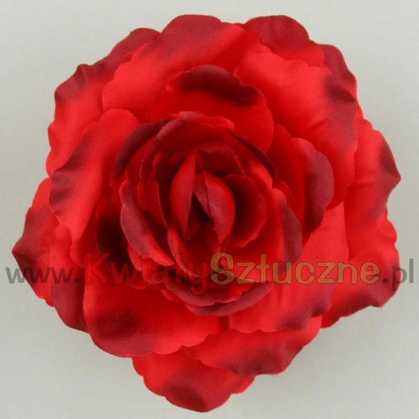 Дишер Дишер