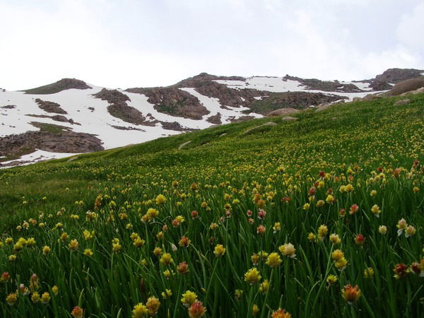 Бекзат Аманбаев