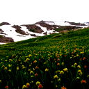 Бекзат Аманбаев