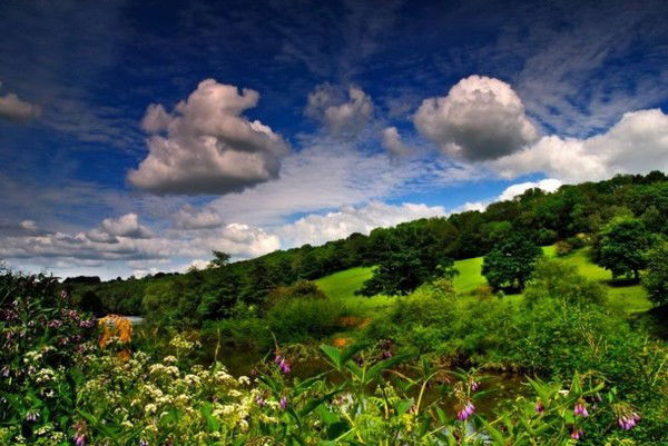 Мадениет Ом