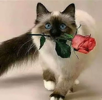 ****мужичек За Пятьдесят****