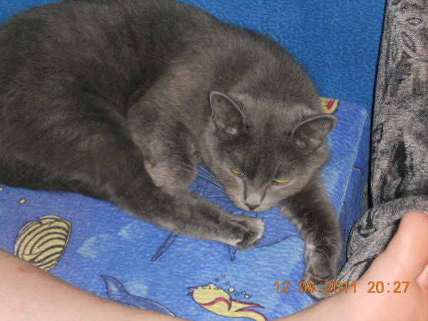 Ira Mindibaeva(Lobanova)