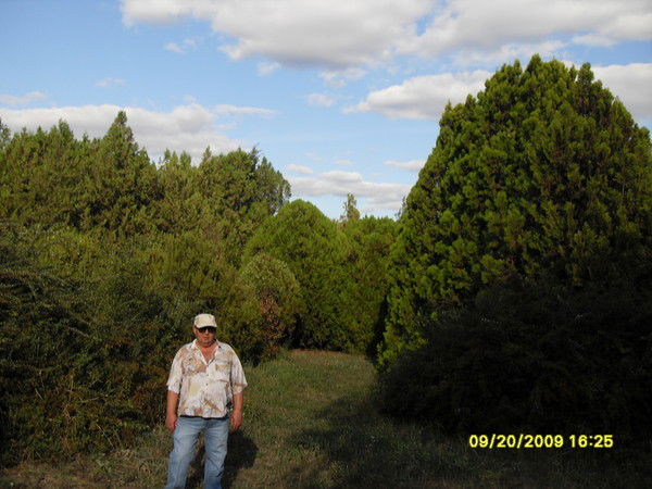 Владимир Скорин