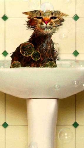 Рано Буриева