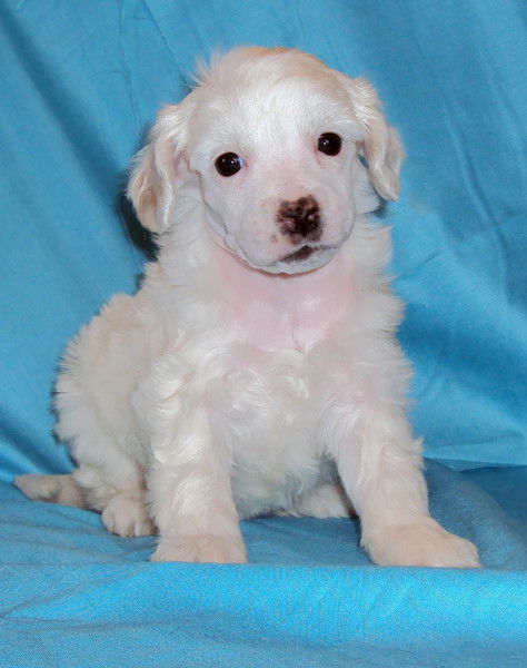 Ольга Иванова