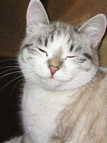 Кепка Кепка