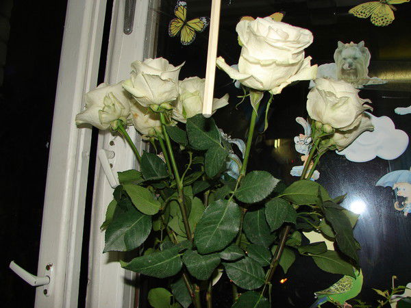 Наталья Форсюк