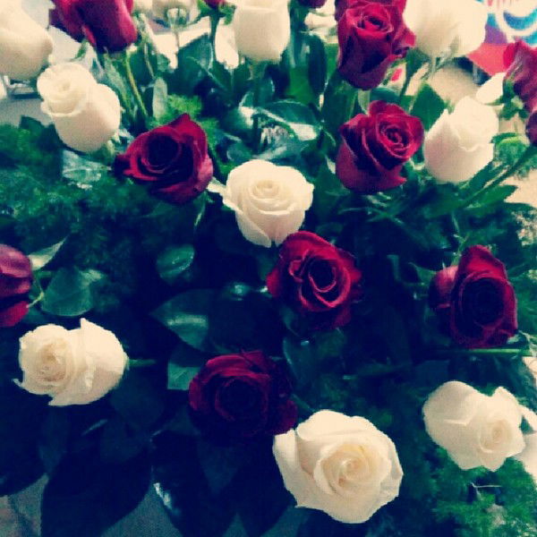 Анастасия Городская Служба Недвижимости