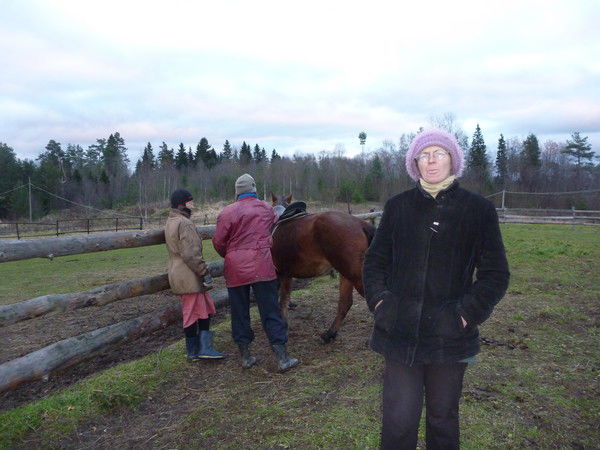 Елена Степаненко