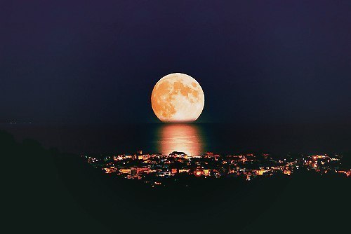 Остальська Людмила