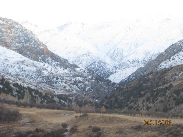 Володя Попов