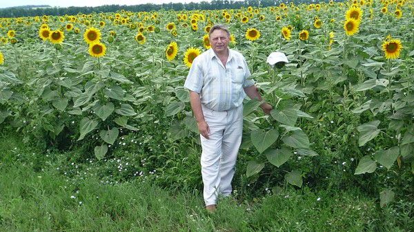 Александр Папченко