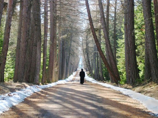Наталья Кудрявцева