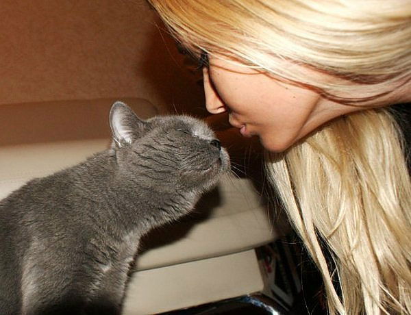 Анастасия Добрынина