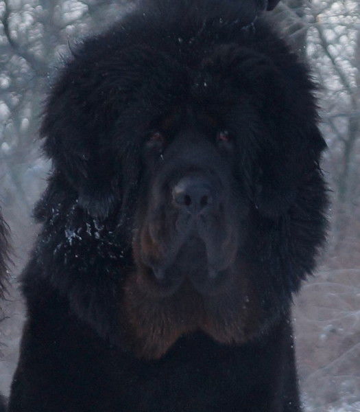 Наталья Зенькович