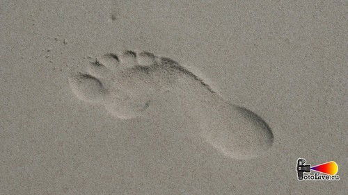 Дмитрий Кожушко