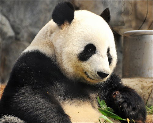 Андрей Шаватуров