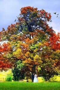 Екатерина Иштуганова