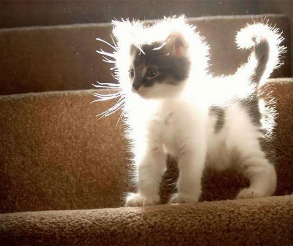 ***илюх@*** ***илюх@***