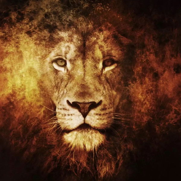 Дмитрий Ким