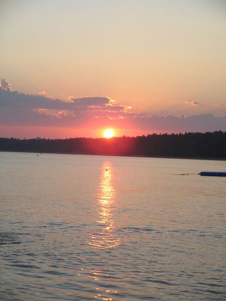 Дмитрий Сосновский