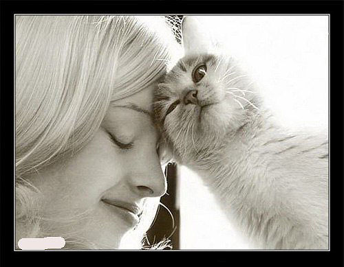 *** Ангелочек***