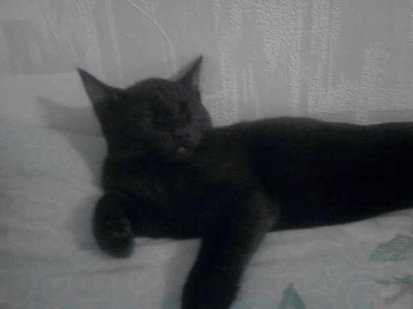 Георгий Махницкий