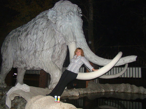 Елена Барышенко