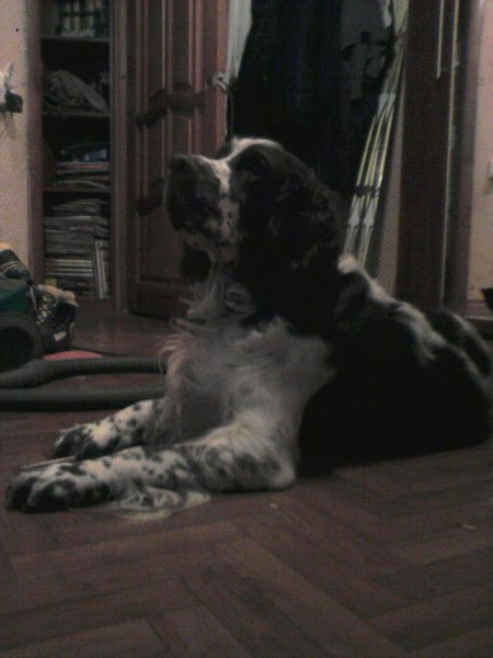 Николай Данилов