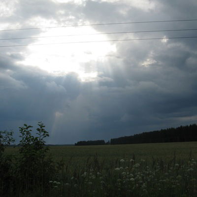 Никита Самосудов