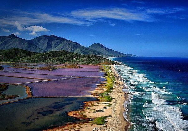 Марина Шеенкова