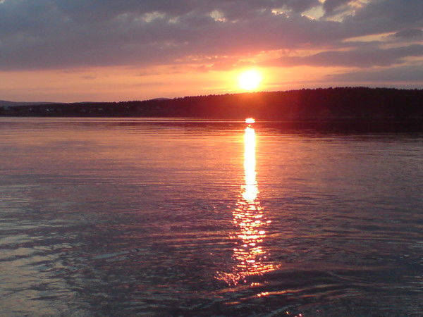 Артем Старцев