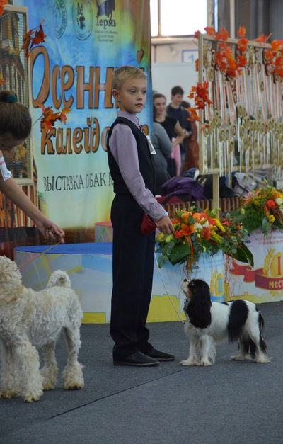 Паша Заводов